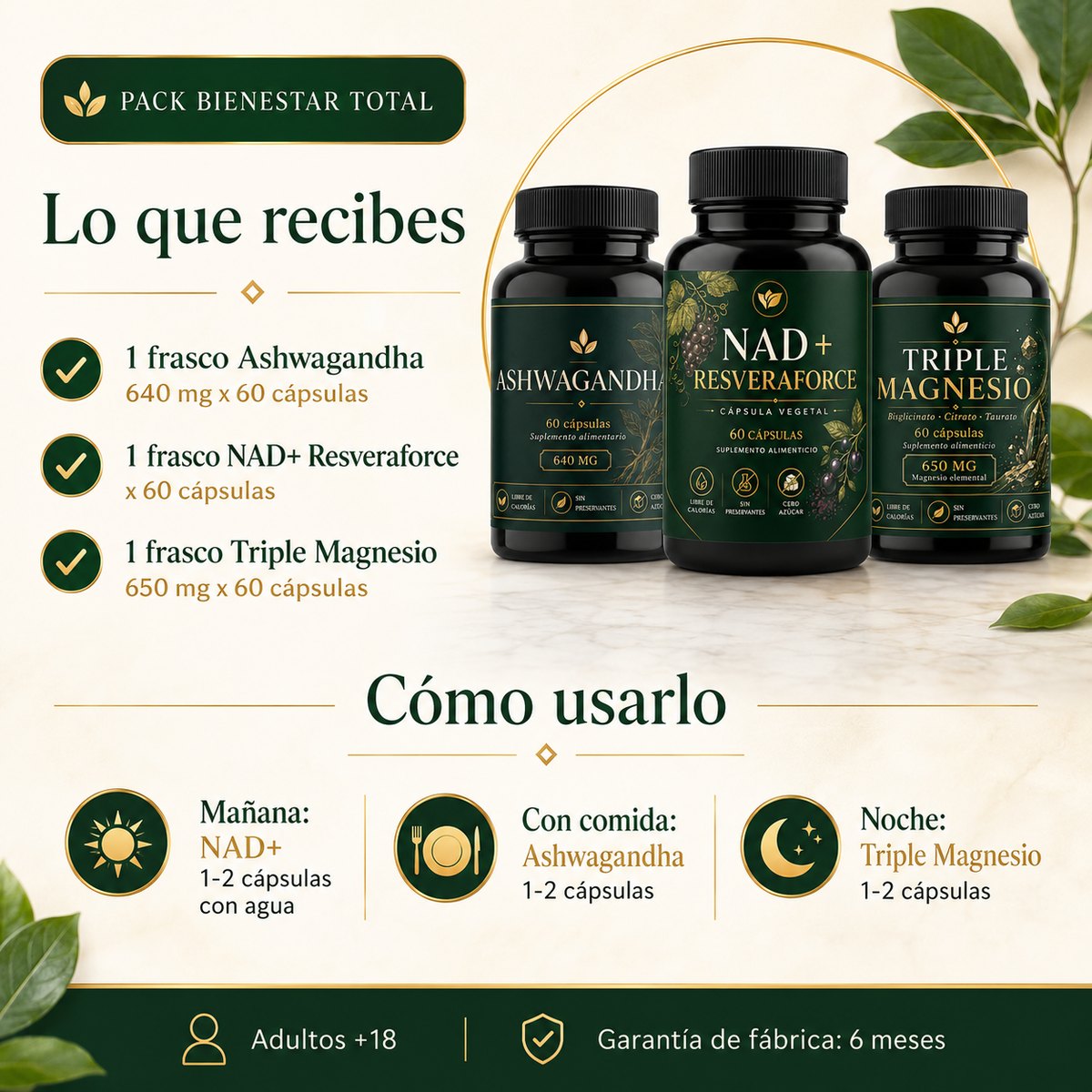 Un protocolo claro para todo tu día.