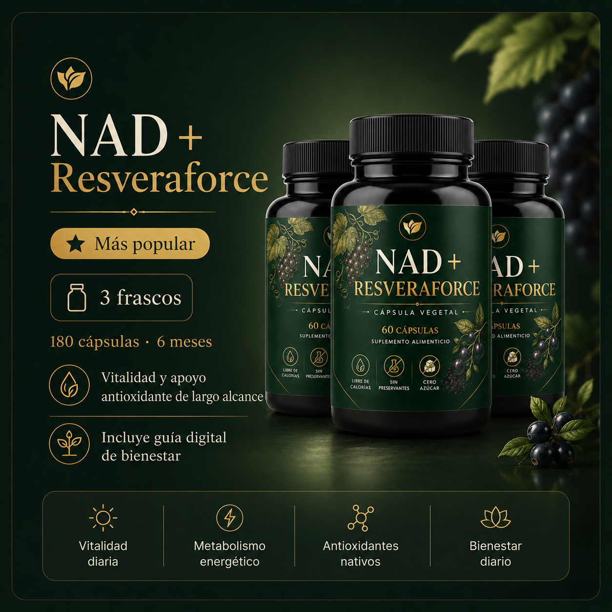 Frasco Kénos NAD+ Resveraforce
